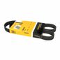 continental-banda-accesorios-serpentina-alternador-audi-s6-2013-2015-s6-v8-4-0l-0