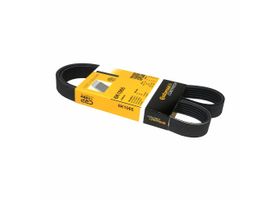 Banda Accesorios Serpentina Alternador