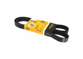 Banda Accesorios Serpentina Alternador