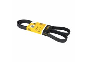 Banda Accesorios Serpentina Alternador