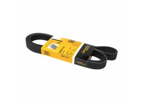 Banda Accesorios Serpentina