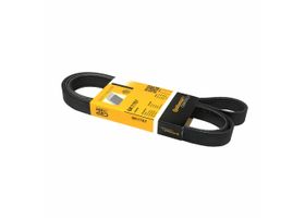 Banda Accesorios Serpentina