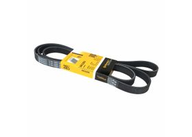 Banda Accesorios Serpentina
