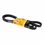 continental-banda-accesorios-serpentina-audi-100-1992-1994-100-v6-2-8l-0