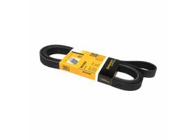 Banda Accesorios Serpentina