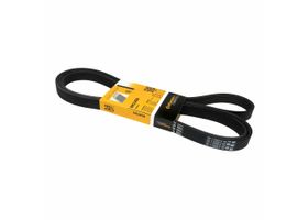Banda Accesorios Serpentina