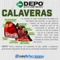 Texto-de-linea