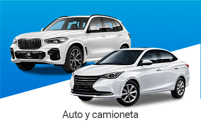 AUTO Y CAMIONETA