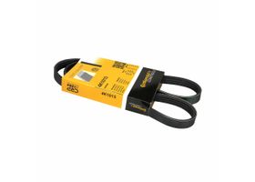 Banda Accesorios Serpentina Alternador