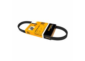 Banda Accesorios Elástica Dirección Hidráulica