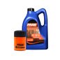 fram-kit-de-aceite-mineral-20w50-filtro-para-aceite-mineral-2-piezas-ford-escort-1986-escort-l4-2-0l-0