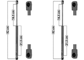 Par De Amortiguadores De 5a Puerta