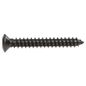sujeauto-pija-de-cabeza-ovalada-torx-negra-sin-rondana-0