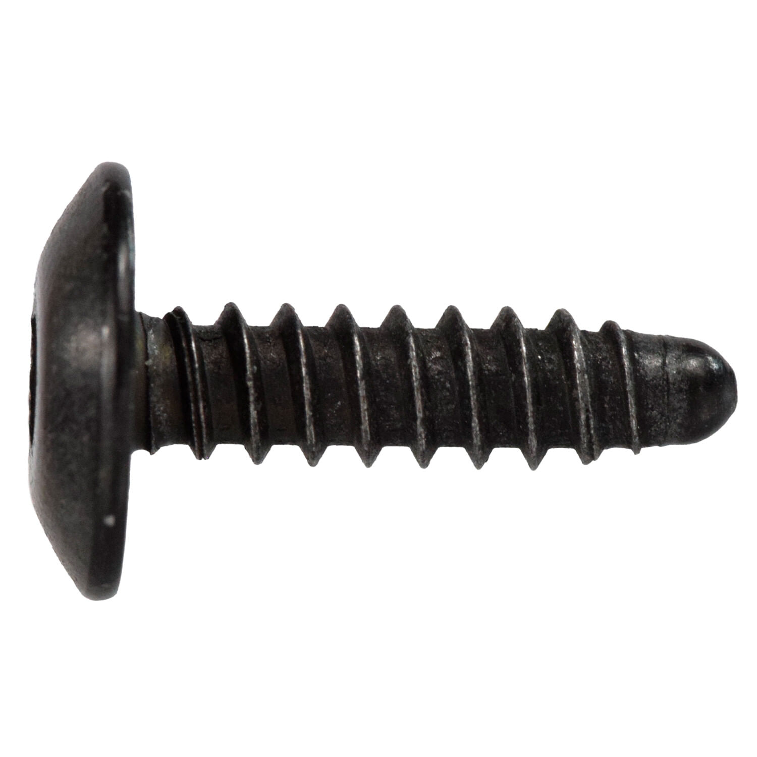 Tornillos Para Interiores 25 Piezas