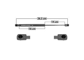Amortiguador Cofre Lado Conductor O Pasajero