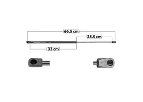 Amortiguador Cofre Lado Conductor O Pasajero