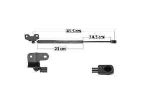 Amortiguador Cofre Lado Conductor O Pasajero