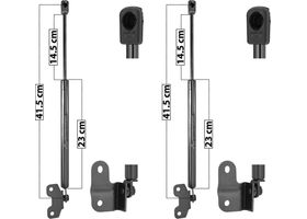 Par De Amortiguadores De Cofre