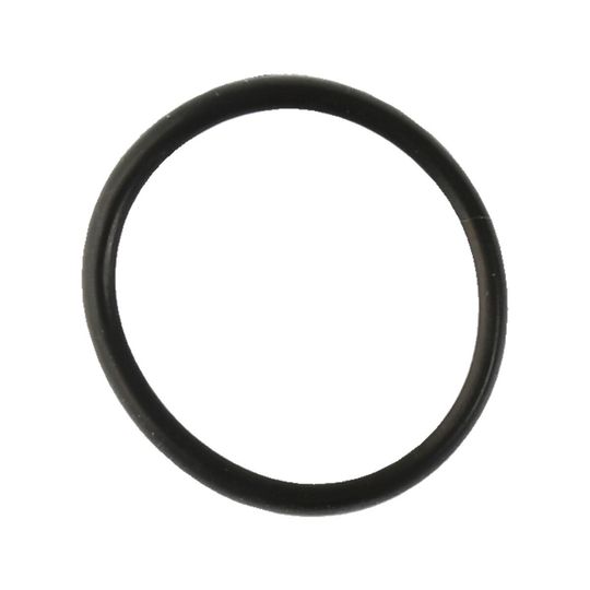 italika-original-o-ring-italika-vitalia-150-2020-2024-vitalia150-0