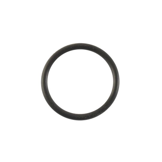 italika-original-o-ring-italika-vx250-efi-2018-2021-vx250-efi-0