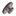 italika-original-engrane-de-arranque-italika-sptfire-250-2023-2024-sptfire-250-0
