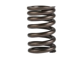 Resorte De Válvula De Motor