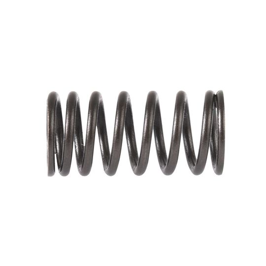 italika-original-resorte-de-valvula-de-motor-interior-italika-vort-x-250-2022-2024-vort-x-250-0
