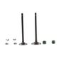 italika-original-kit-de-valvulas-de-motor-italika-150z-2019-2024-150z-0