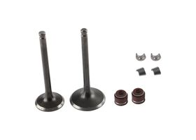 Kit De Válvulas De Motor