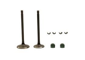 Kit De Válvulas De Motor