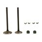 italika-original-kit-de-valvulas-de-motor-italika-ft200-ts-2019-2024-ft200-ts-0