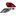 depo-calavera-lado-conductor-nissan-altima-2008-2012-altima-0
