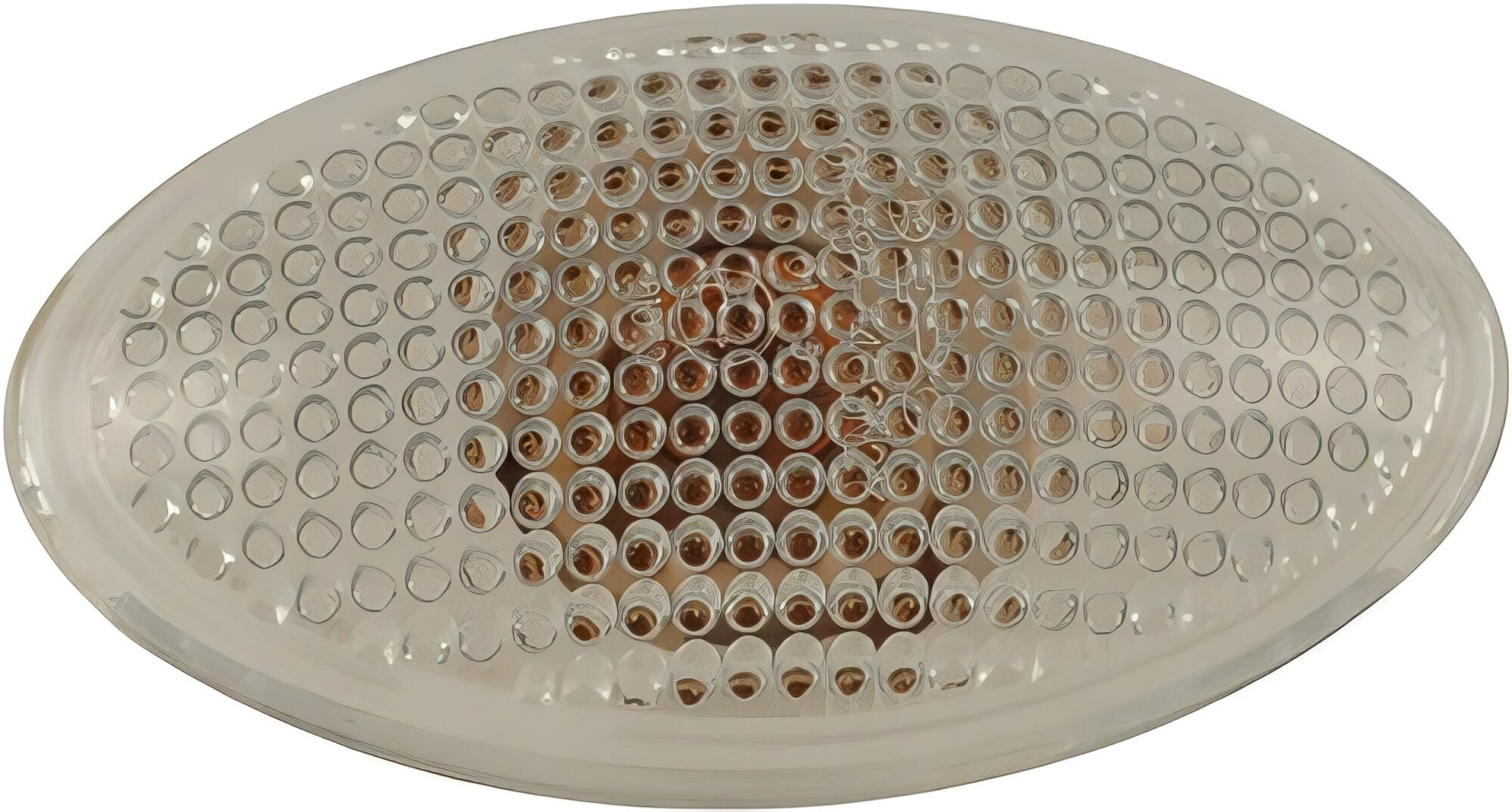 Cuarto Delantero Lateral Blanco Lado Conductor O Pasajero