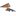 depo-cuarto-punta-delantero-sin-foco-lado-pasajero-chevrolet-cavalier-1995-1999-cavalier-0