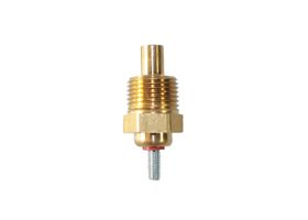 Sensor De Temperatura Del Refrigerante (CTS)