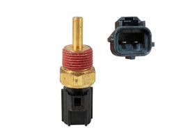 Sensor De Temperatura Del Refrigerante (CTS)