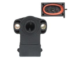 Sensor De Posición Del Acelerador (TPS)