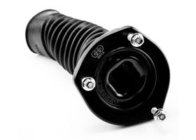 Base Amortiguador Trasera Lado Pasajero