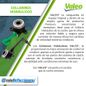 Texto-de-linea