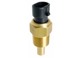 Sensor De Temperatura Del Refrigerante (CTS)