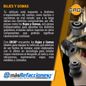 Texto-de-linea