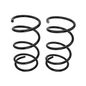 grob-juego-de-resortes-de-suspension-delanteros-nissan-x-trail-2002-2007-x-trail-0