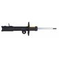 grob-amortiguador-gas-delantero-lado-conductor-suzuki-baleno-2021-2023-baleno-0