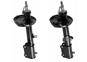 Par De Amortiguadores Gas Traseros OESpectrum
