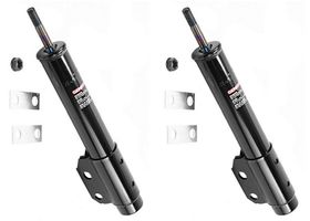 Par De Amortiguadores Gas Delanteros OESpectrum