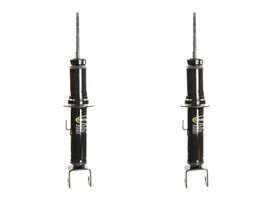 Par De Amortiguadores Gas Traseros OESpectrum