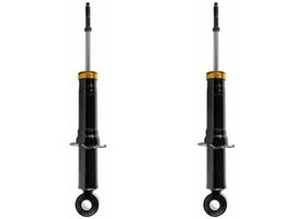 Par De Amortiguadores Gas Traseros OESpectrum