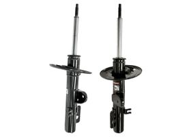 Par De Amortiguadores Gas OESpectrum Delanteros