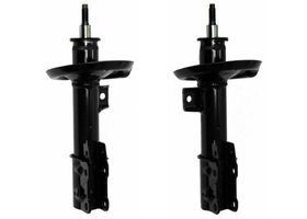 Par De Amortiguadores Gas OESpectrum Delanteros