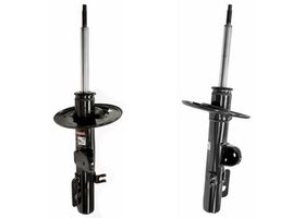 Par De Amortiguadores Gas OESpectrum Delanteros